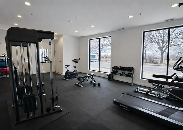 Large 4br Cozy Near Field Museum & Mccormick Chicago